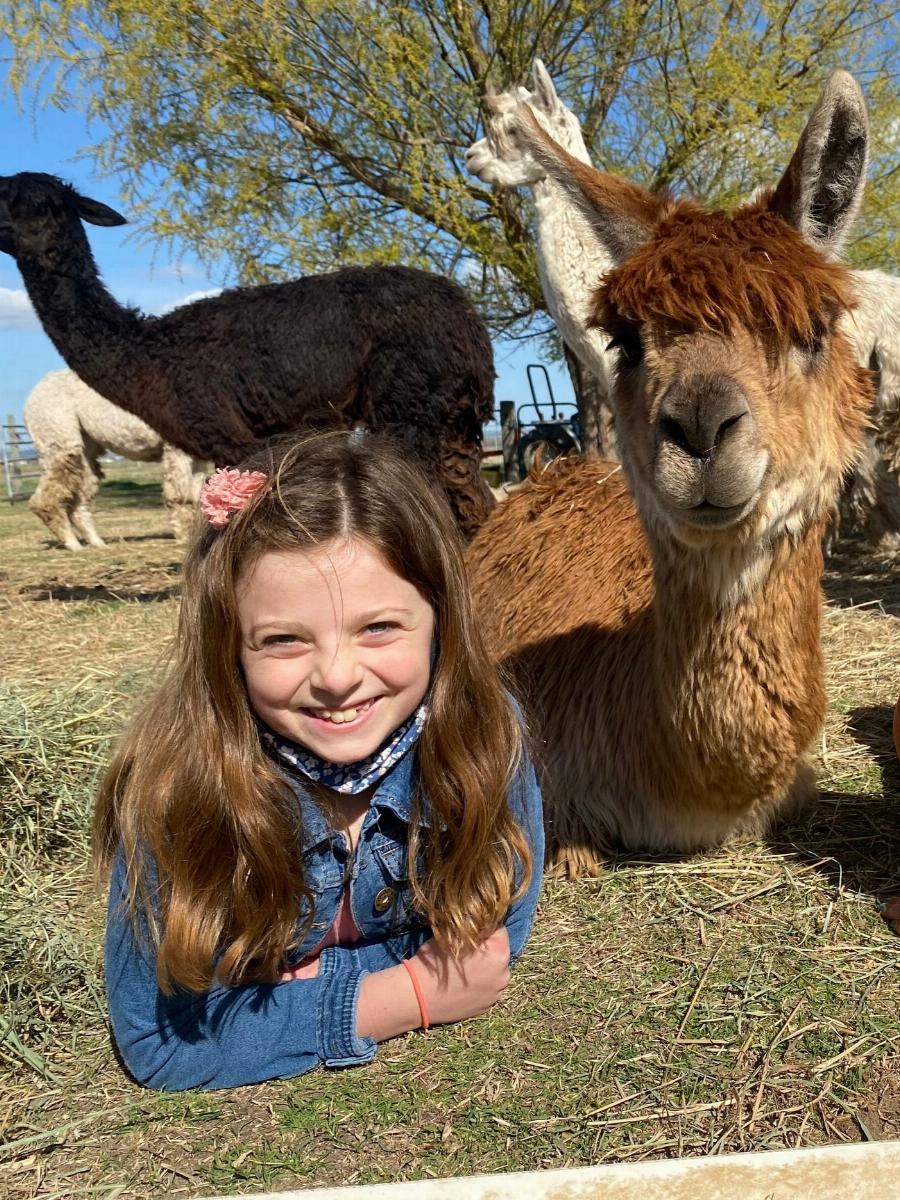 Alpaca Enjoying Healthy Treats