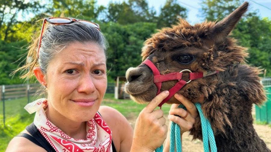 Alpaca Humming and Communicating