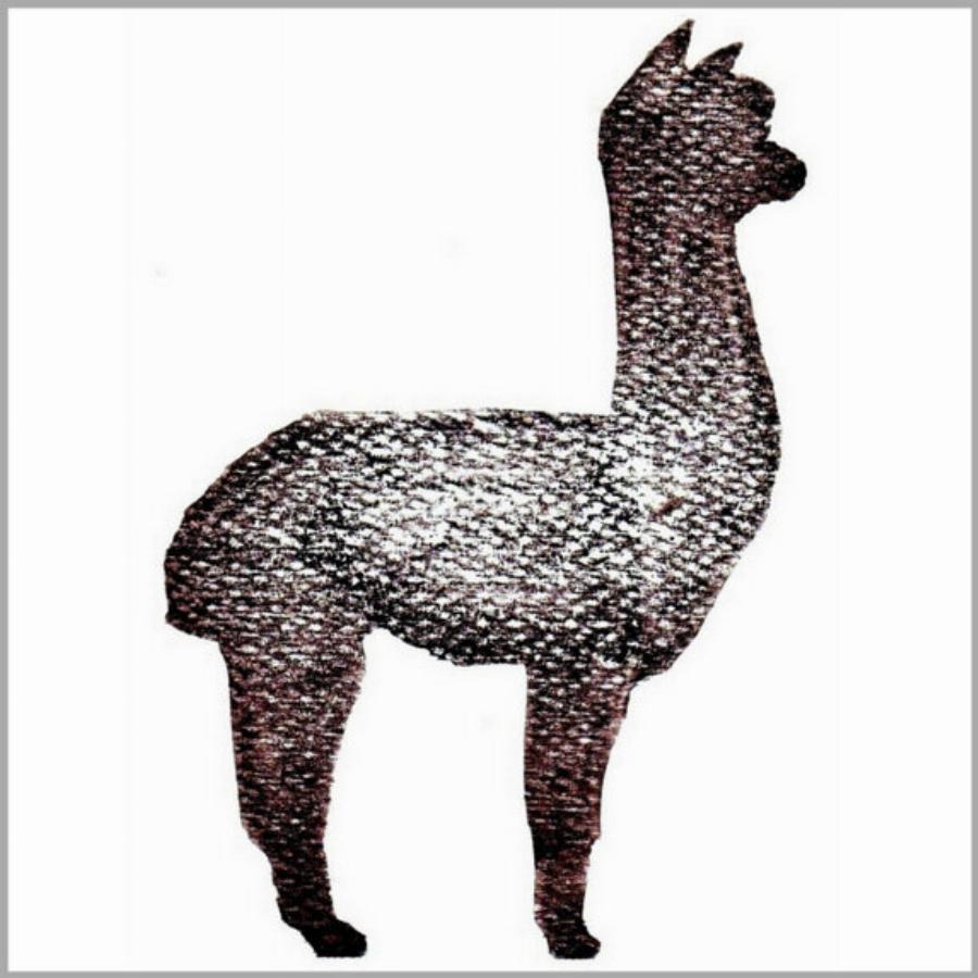 Alpaca Products: Scarves and Sweaters